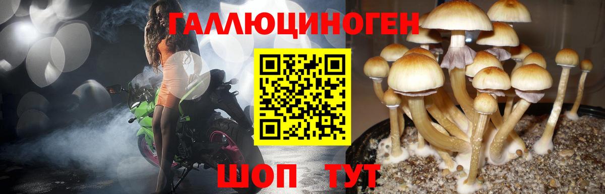 Галлюциногенные грибы мицелий Вятские Поляны